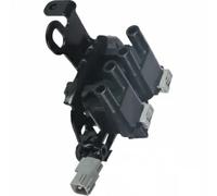 Delphi Bobine d'allumage GN10416-12B1