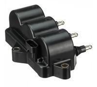 Delphi Bobine d'allumage GN10513-12B1 12V SAE pour Chevrolet