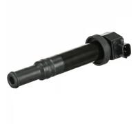 Delphi Bobine d'allumage GN10569-12B1 – Raccord SAE – pour KIA Magentis II 2.7 (2005-2010)