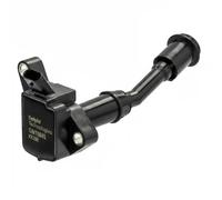 Delphi Bobine d'allumage GN10645-12B1 – Compatible Ford Mondeo V, Focus III, S‑Max, Kuga II, Escape