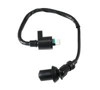 Bobine d'allumage haute tension for VTT 220 AEO-30510205-000