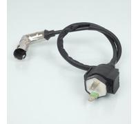 Bobine D'allumage Ht Origine Pour Moto Tnt 50 City Euro 2 Neuf