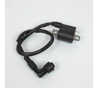 Bobine d'allumage HT P2R compatible avec Moto Masai 50 SM Avant 2020