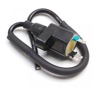 Bobine d'allumage HT P2R compatible avec Scooter Kymco 50 Agility 2T 2006 à 2020