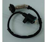 Bobine d'allumage HT P2R compatible avec Scooter Peugeot 50 Kisbee