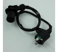 Bobine d'allumage HT P2R compatible avec Scooter Sym 125 HD Evo 2005 à 2020