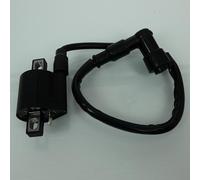 Bobine d'allumage HT P2R pour Scooter Yamaha 125 Majesty 1998 à 2009 Neuf