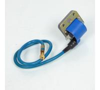 Bobine D'allumage Ht P2r Pour Mobylette Piaggio 50 Grillo Neuf