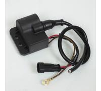 Bobine D'allumage Ht P2r Pour Moto Rieju 50 Rr 1999 À 2020 Neuf