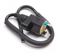Bobine D'allumage Ht P2r Pour Scooter Peugeot 50 Ludix 2004 À 2020 Neuf