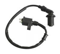 Bobine D'allumage Ht P2r Pour Scooter Scoot Chinois Neuf