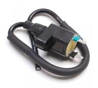 Bobine d'allumage HT P2R pour Scooter Sym 50 Orbit 2T Avant 2020