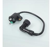 Bobine D'allumage Ht Rms Pour Scooter Sachs 50 Limbo 1997 441 Neuf