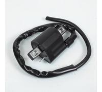 Bobine d'allumage HT Teknix compatible avec Moto Rieju 50 MRT 2009 à 2017