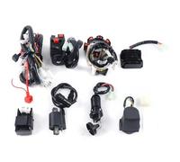 Bobine D'allumage Kit Complet Câblage Électrique Avec Redresseur CDI Pour Bougie D'allumage Et Bobine D'allumage Pour Moto, VTT, QUAD 150-250 300CC