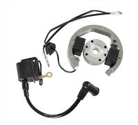 Bobine D'allumage Kit D'assemblage Bobine D'allumage Volant Magnétique Rotor Stator Pour 50 SX 50Cc Pro Pour Senior Pour Junior SR JR SX50 Adventure