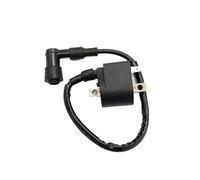 Bobine d'allumage LT50 LT 50 QUADRUNNER 50 avec Compatible avec ATV