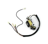 Bobine d'allumage magnétique ET950 ET650 IE45 TG950, Compatible avec générateur 2 Temps 450 W, 650 W, 800 W, 950 W, 1000 W(Black)