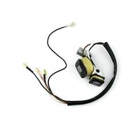 Bobine d'allumage magnéto Compatible avec ET950 ET650 IE45 TG950 2 Temps 450 W 650 W 800 W 950 W 1000 W(Magnetor)