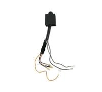 Bobine d'allumage magnéto Compatible avec ET950 ET650 IE45 TG950 2 Temps 450 W 650 W 800 W 950 W 1000 W(Electronic igniter)
