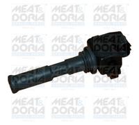 Bobine d'allumage MEAT & DORIA 10334