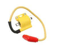 Bobine D'allumage Modifiée EFI Pour Moto Pour Forza 350 125 250 300 750 Pièces Bobine D'injection Électronique Carburant Bobine d'allumage