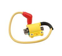 Bobine D'allumage Modifiée EFI Pour Moto Pour YBR 250 Pour YBR 125 Pour YBR 150 Pour YBR 250 Pièces Bobine D'injection Électronique Carburant Bobine d'allumage bougie d'allumage