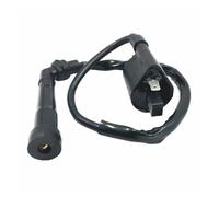 Bobine D'allumage Moto pour Raptor 350 pour YFM350 pour YFM 350 pour YFM350R 2004 2005 2006 2007 2008 2009 2010 2011 2012 2013 pour Bobine D'allumage ATV