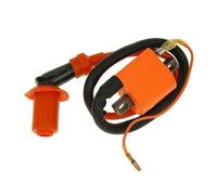 Bobine d'allumage Naraku High Output - 1 Pin