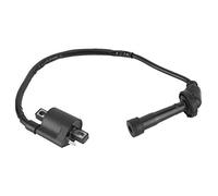 Bobine D'allumage Noire pour Grizzly 660 YFM660 2002 2003 2004 2005 2006 2007 2008 Pièces de VTT