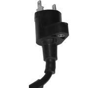 Bobine d'allumage noire SGR 2 Résistance Faston 0,30 OHM