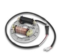 Bobine D'allumage Plaque Stator Magnétique D'allumage Bobine Moto Pour Kawasaki KFX 80 2003-06 Suzuki LT80 LT 80 Quadsport 80 1987-2006 21003-S005
