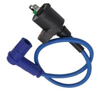 Bobine D'allumage Pour 50cc-250cc Dirt Pit Bike Cyclomoteur ATV Go Kart Quad Buggy Remplacement CDI Accessoires Allumeur Moto Boîte Bobine D'allumage(Blue)