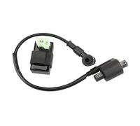 Bobine D'allumage pour 50cc 70cc 110cc 125cc 150cc 200cc 250cc Boîtier CDI CA 6 Broches pour Quad pour Scooter Motocross pour Quad Stator