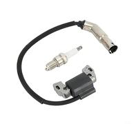 Bobine d'allumage pour armature Magneto, accessoires de moteurs de tondeuse à gazon pour bobine d'allumage compatible avec 595304 795315 799650 592841 21B902-0022-E9