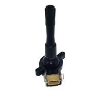 Bobine d'allumage Pour BMW 3er E36 320i 323i M3 328i E46 325i 325xi 328i 330xi 5er E39 7er E38 8er E31 1748017 LR022494 NEC101000 12131748017 Bobine D'allumage Systèmes d'Allumage et Chauffage
