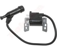 Bobine d'allumage Pour Briggs & Stratton ( 816464 )