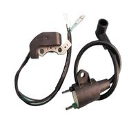 Bobine d'allumage Pour ET950 Pour ET650 Pour IE45F Pour TG950 Pour générateur Tiger 450W 650W 800W 950W 1000W 2 temps avec interrupteur d'allumage magnéto