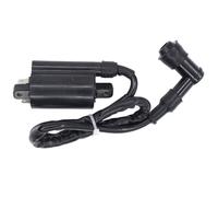 Bobine d'allumage pour John Deere LX178 LX186 LX188 LX277 LX279 LX289 325 3