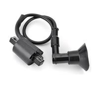 bobine d'allumage pour moteur Pour SMC REX ATV Quad Urban Ares Ram