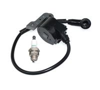 Bobine d'allumage pour Oleo-Mac 970 971 980 980TTA Efco 170 171 180 TT180 09800036BR 50020007BR