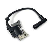 Bobine d'allumage pour Robin EX13 EX17 EX21 Moteurs Tronçonneuse Coupe-bordure Pièces Nettoyant pour forme de carrelage Peinture pour démoulage mural Spray pour forme de papier peint pour cuir Killer