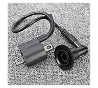 Bobine D'allumage pour SMC Rex Quad 50 Urban 50 Ares 50 Ram pour Mini 50 pour Explorer ATV Bullet 50 E-Ton ATV Draco 50 Moto Bobine D'allumage Bobine Haute Tension