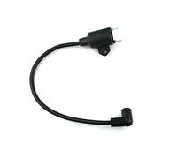 Bobine d'allumage pour Tiger, Generator 450W 650W 800W 950W 1000W 2 Stroke