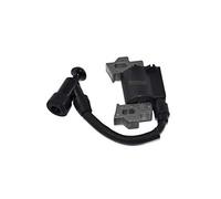 Bobine d'allumage pour Tondeuse Einhell BG-PM 46/3 S/BG-PM 40