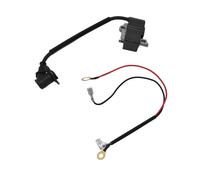 Bobine d'allumage pour tronçonneuse, bobine d'allumage, bobine d'allumage ABS, bobine d'allumage de remplacement, bobine d'allumage pour machine, module de bobine d'allumage