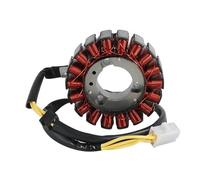 Bobine d'allumage rotor stator pour FES125 FES150 Pantheon FES 125 150 S-Wing
