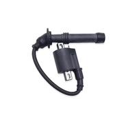Bobine D'allumage Scooter Bobine D'allumage Pour Moto Pour SM-MOTORS Pour GR7 Pour GR8-NC250 Pour BRZ X6s 300cc Pour BRZ X6S Pour X6M-250CC Moto Tout-terrain Bobine