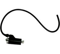 Bobine d'allumage SGR 12V 2 Faston 4,7 OHM Résistance