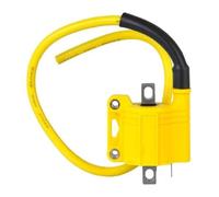 Bobine D'allumage Stator Magneto Bobine D'allumage Universelle pour Toutes Les Motos Utilisant des Carburateurs CDI Racing ATV Cyclomoteur Scooter 2T 4T Système D'allumage du Moteur(5pcs)